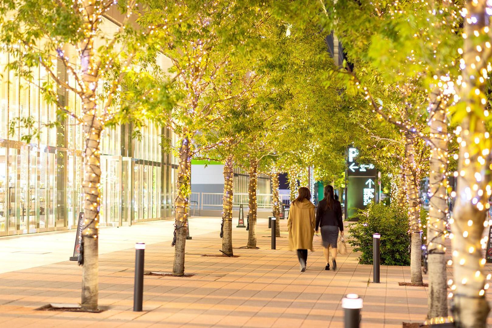 Villa Fontaine Grand Tokyo Ariake Exterior photo